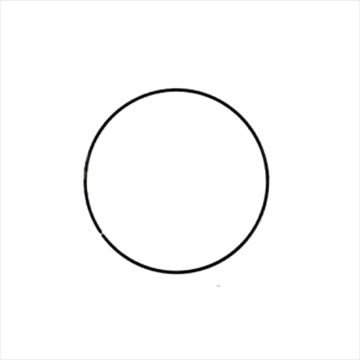 Immagine di 5M3373A RING