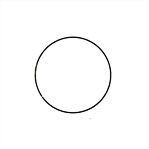 Immagine di 5M3373A RING