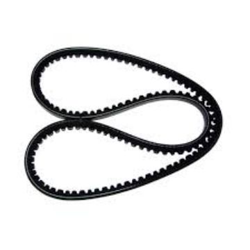 Immagine di 178558 BELT,V