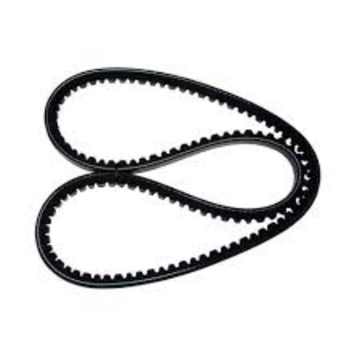 Immagine di 178558 BELT,V