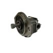 Immagine di 3848612 POMPA PUMP GP-F XF