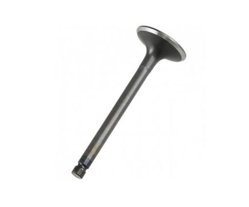 Immagine di 5259419 KIT,EXHAUST VALVE
