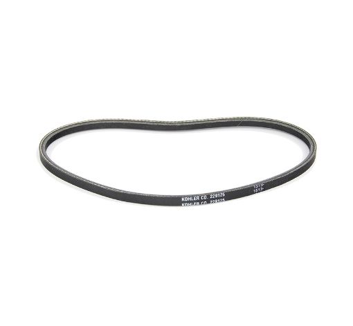 Immagine di 229125 CINGHIA PAS