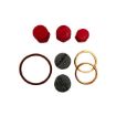 Immagine di 5229649 SERVICE KIT