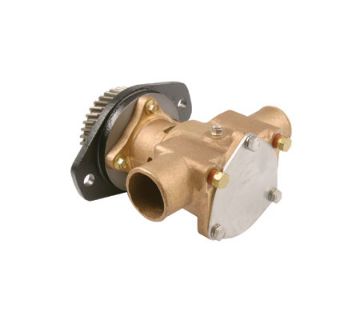 Immagine di P1716C Pompa Acqua