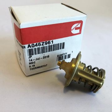 Immagine di A046Z961 THERMOSTAT