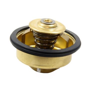 Immagine di 875580A KIT TERMOSTATO