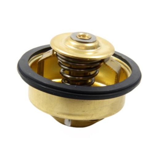 Immagine di 875580A KIT TERMOSTATO