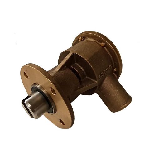 Immagine di 8107293 POMPA ACQUA MARE