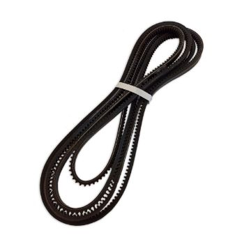 Immagine di 2S2481A BELT SET