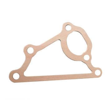 Immagine di 2152616 GUARNIZIONE GASKET