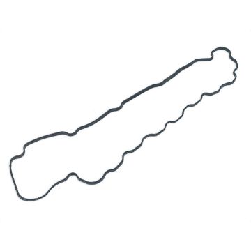 Immagine di 3879829 GUARNIZIONE GASKET