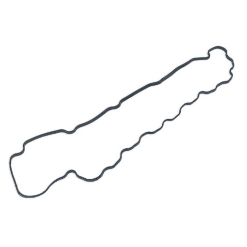 Immagine di 3879829 GUARNIZIONE GASKET