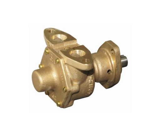 Immagine di 10-32058-1 POMPA ACQUA MARE JOHNSON