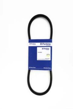 Immagine di OE49882 BELT