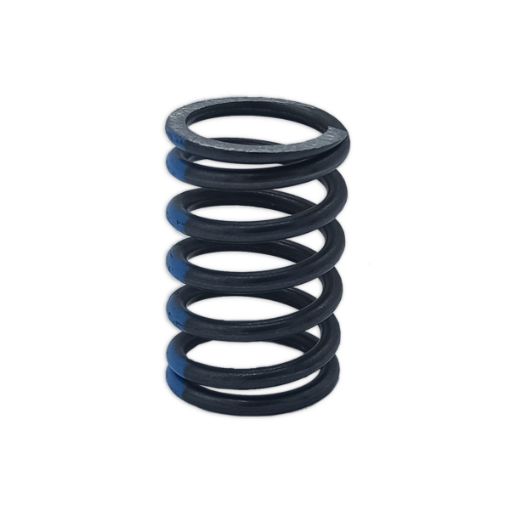 Immagine di 114210-11120 SPRING VALVE