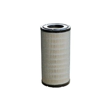 Immagine di CV20948 AIR FILTER