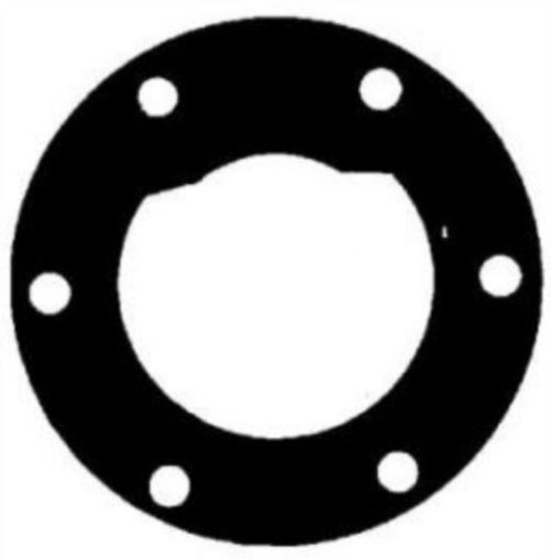 Immagine di 2360 GUARNIZIONE PER POMPE