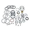 Immagine di 1005930 KIT TENUTE CILINDRI TIMONERIA ASD8-10-11-12-14