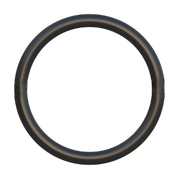 Immagine di 1090072 TENUTA SEAL O RING