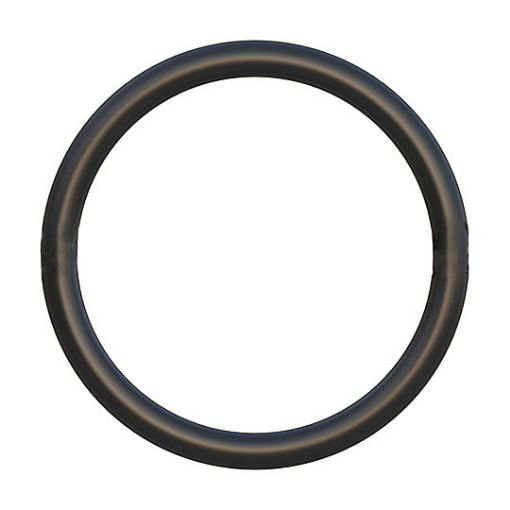 Immagine di 1090072 TENUTA SEAL O RING