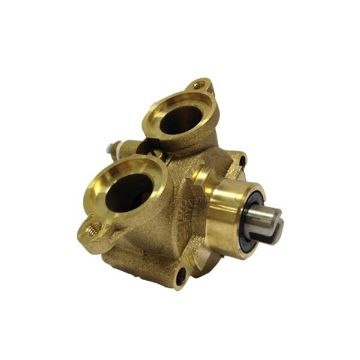 Immagine di 855578 POMPA ACQUA MARINA