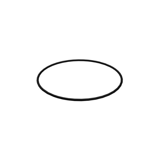 Immagine di 1T1068 TENUTA SEAL