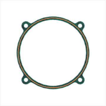 Immagine di 1720038A GASKET