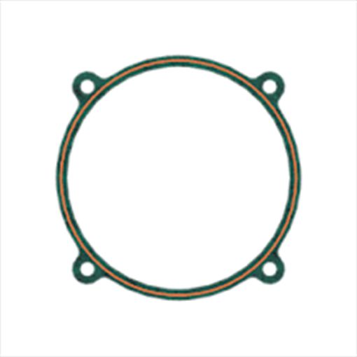 Immagine di 1720038A GASKET