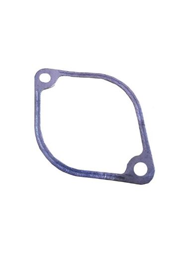 Immagine di 1013626 GUARNIZIONE GASKET