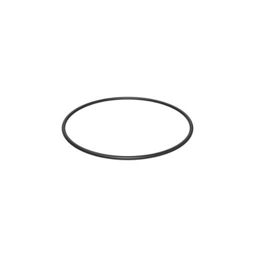 Immagine di 1223772 TENUTA SEAL O RING