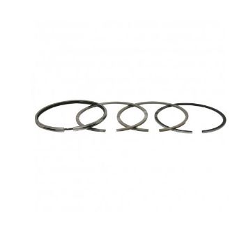 Immagine di 875499 KIT ANELLI PISTONE