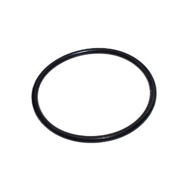 Immagine di 3861000 ANELLO-O