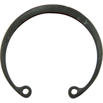 Immagine di 04259 RETAINING RING