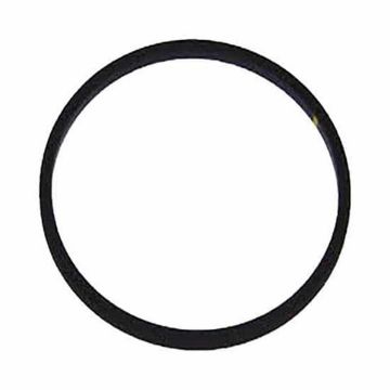 Immagine di 3954829 SEAL,THERMOSTAT