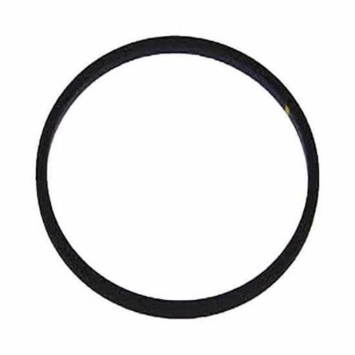 Immagine di 3954829 SEAL,THERMOSTAT