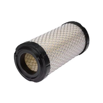 Immagine di C946/2 Filtro aria