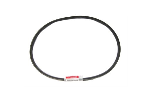 Immagine di 25132-004250 CINGHIA CX