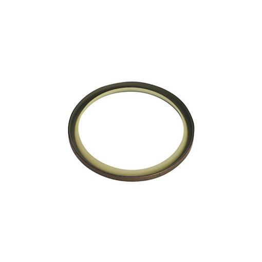 Immagine di 1661496 TENUTA SEAL-LIP TYP