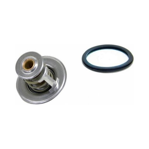 Immagine di 877349A TERMOSTATO 74°