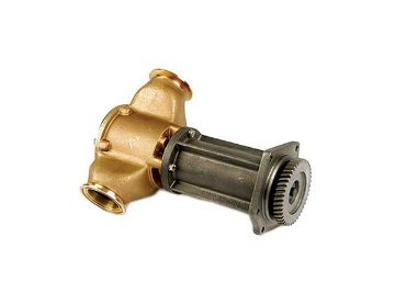 Immagine di 2506878 POMPA PUMP GP-AUX