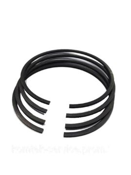 Immagine di 408964400 SET,PISTON RING