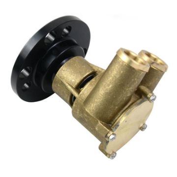 Immagine di 857451 POMPA