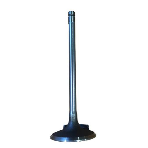 Immagine di 4821710A VALVOLA DI ASPIRAZIONE