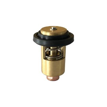 Immagine di 105582-49200A TERMOSTATO =12422349200