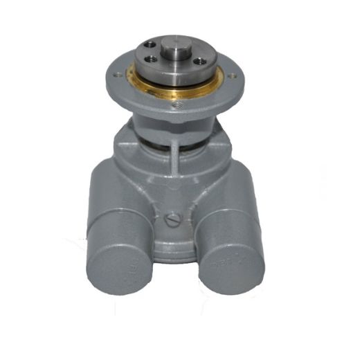 Immagine di 2203714-9 RAW WATER PUMP  (PAINTED)
