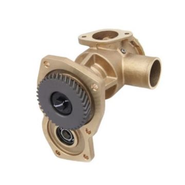 Immagine di D5005 Doosan Sea Water Pump