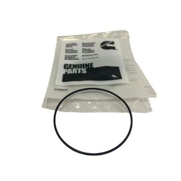 Immagine di 0132-0293 GASKET-WATER PUMP