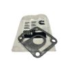 Immagine di 0155-2975 GASKET-RISER