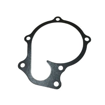 Immagine di 3895310 GUARNIZIONE GASKET